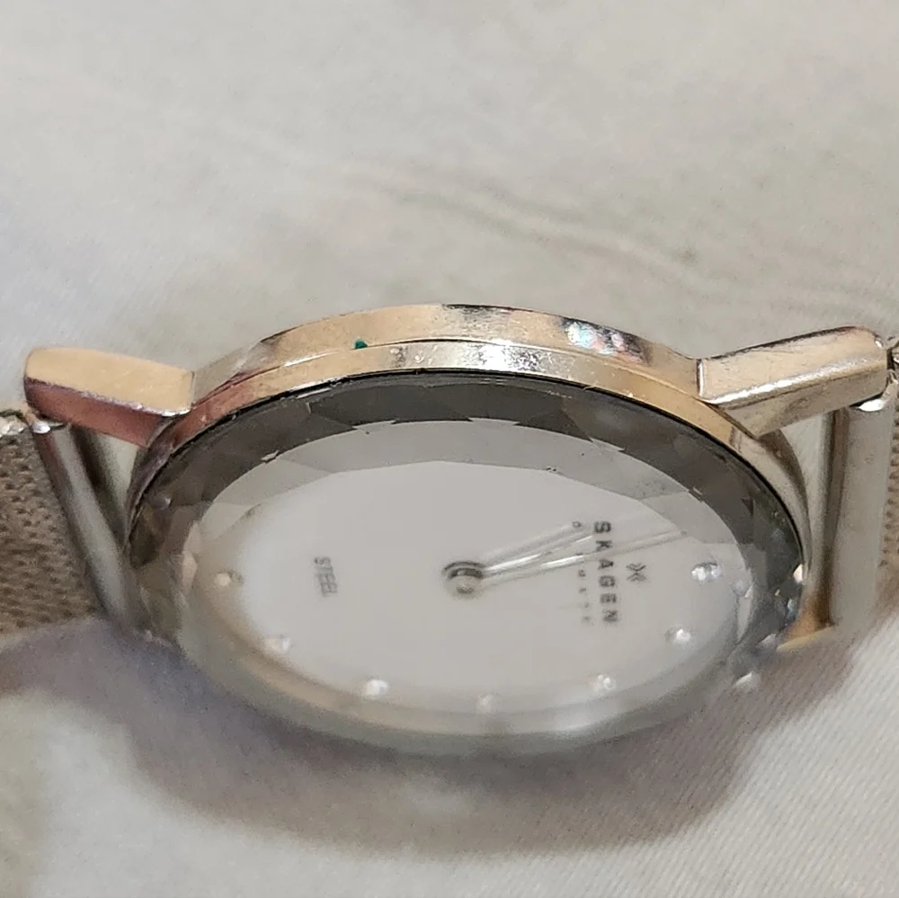 Skagen Women's Mesh Quartz Dial Watch